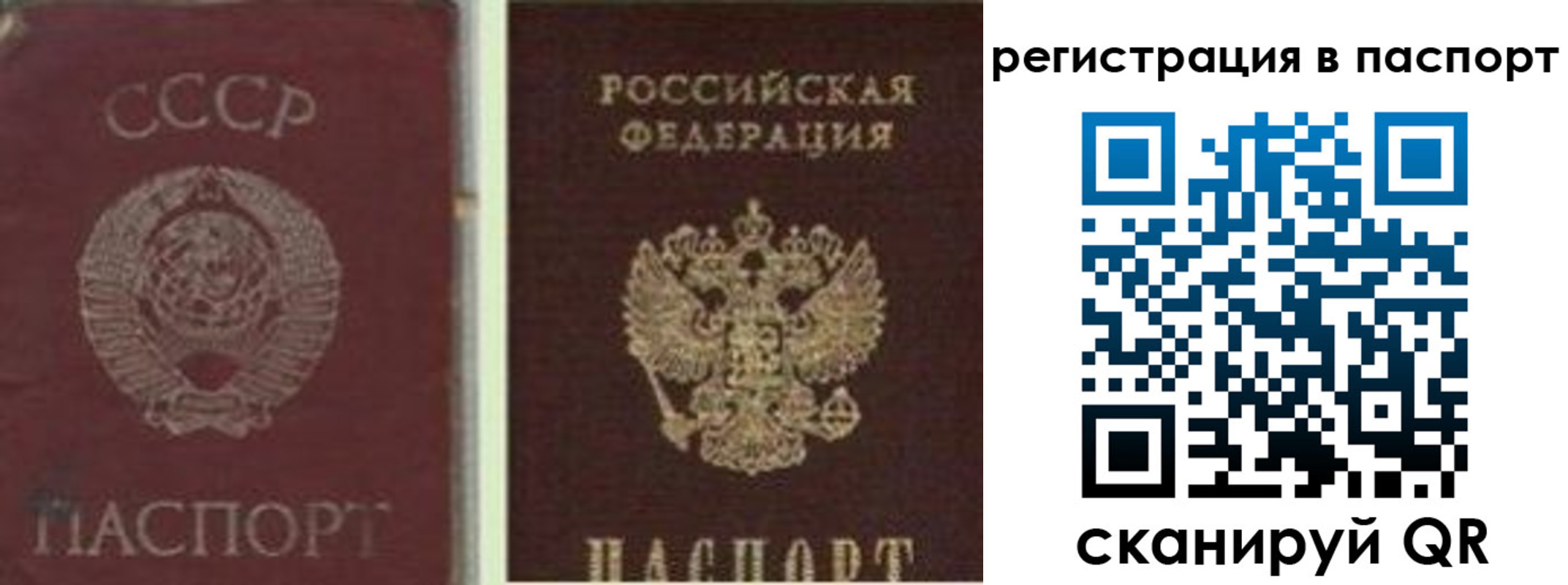 прописка для школы в Шарыпово